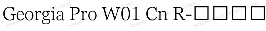 Georgia Pro W01 Cn R字体转换